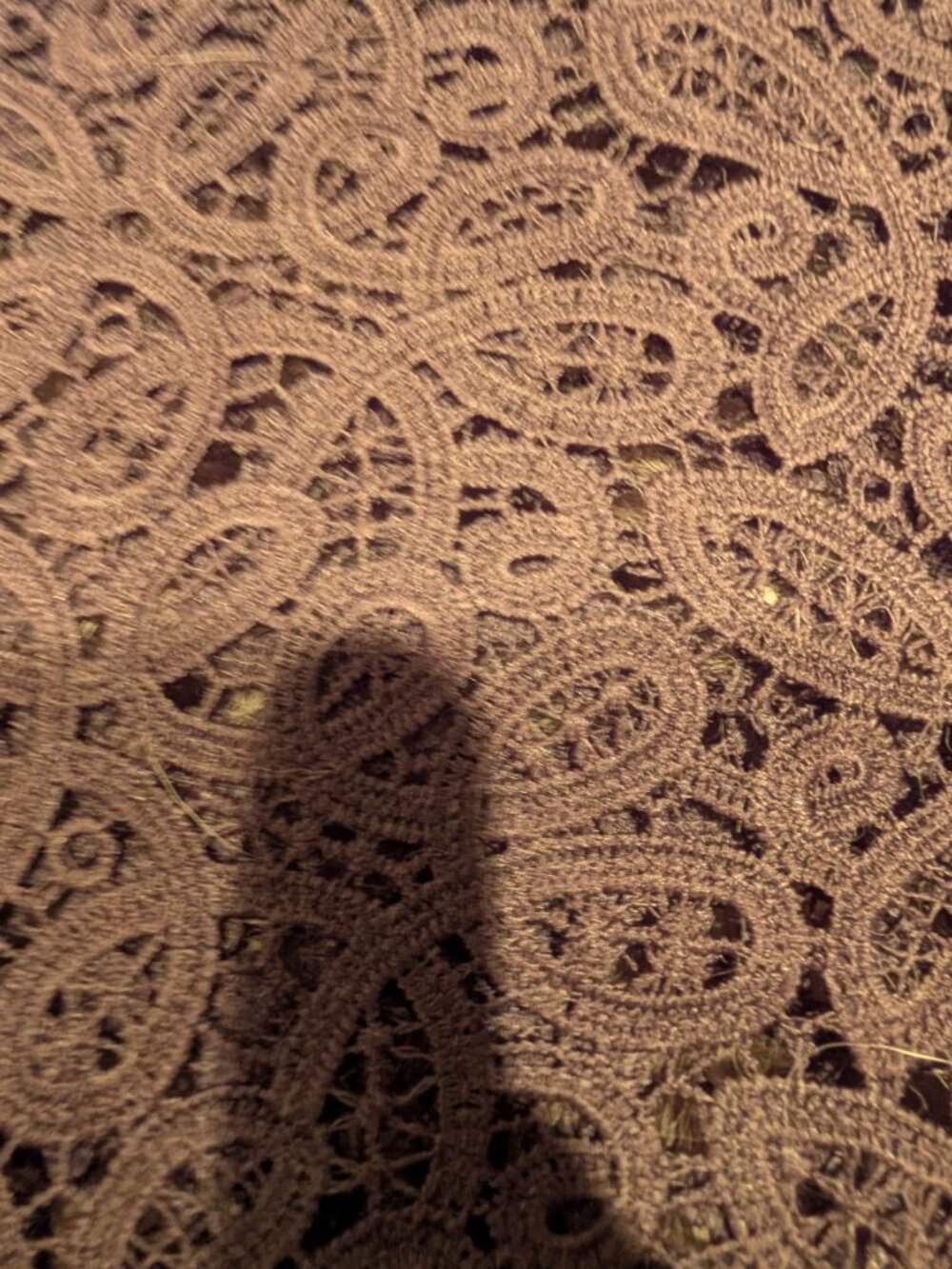 GREY LACE TOP ! - Picture 3 of 5